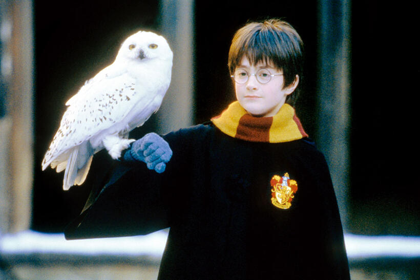 
	Harry Potter and the Sorcerer's Stone
