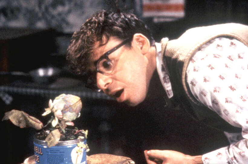 
	Little Shop of Horrors
