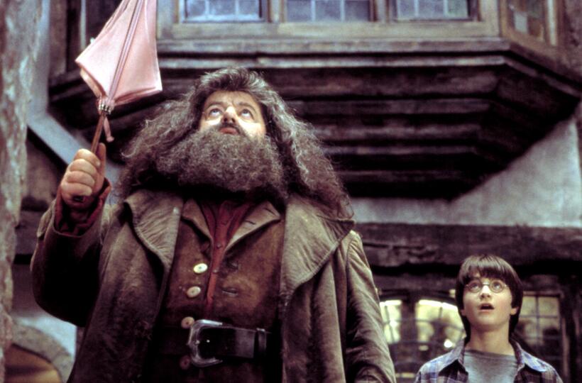 
	Harry Potter and the Sorcerer's Stone (2001)
