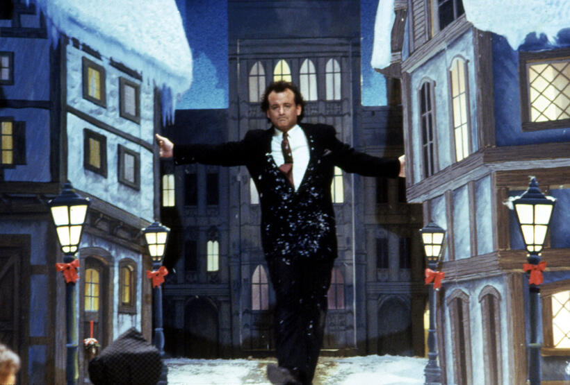 
	Spotlight On: Bill Murray

