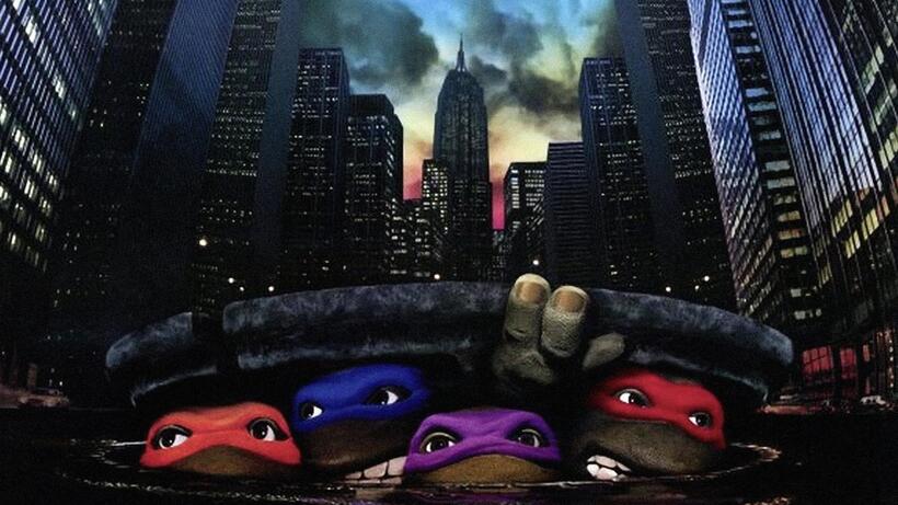 
	Teenage Mutant Ninja Turtles
