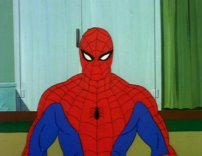 
	The Many Looks of Spider-Man
