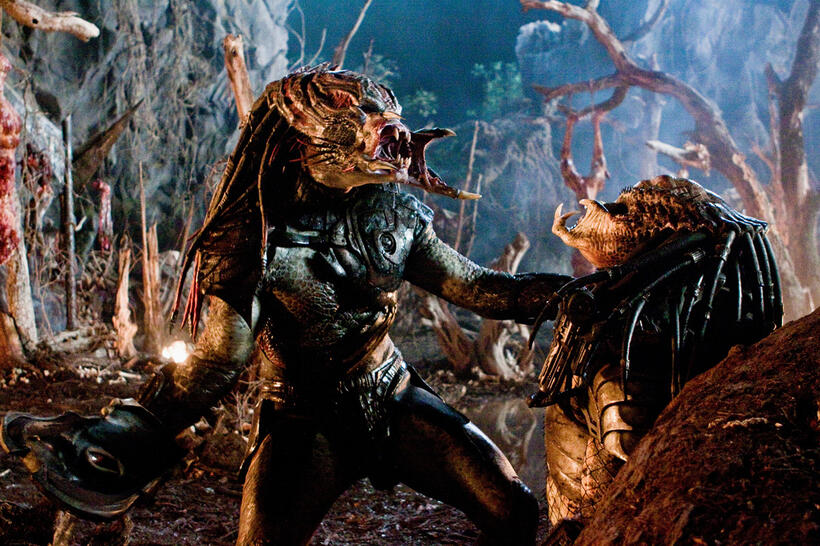 
	PREDATORS
