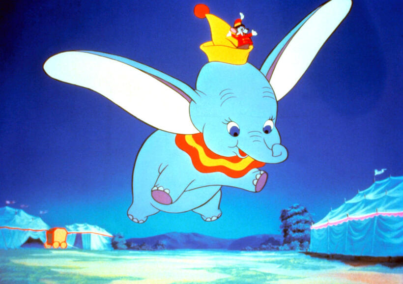 
	Dumbo

