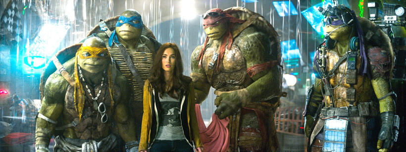 
	Teenage Mutant Ninja Turtles
