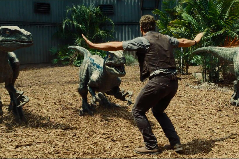
	Velociraptor

