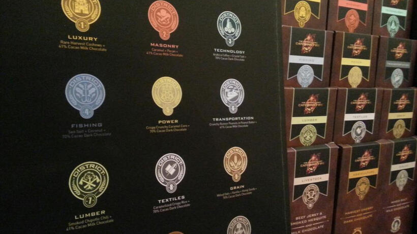 Do These 20 Things to Prep for 'Catching Fire'