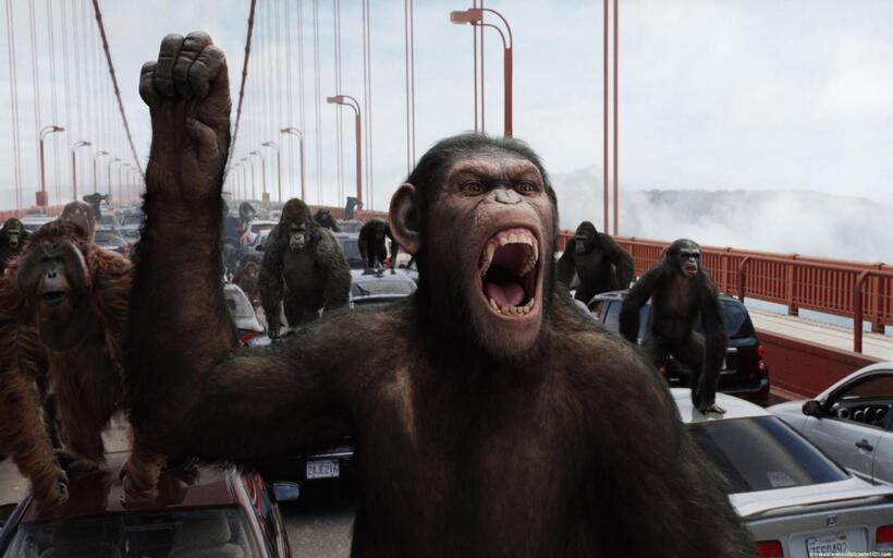 
	'Rise of the Planet of the Apes'

