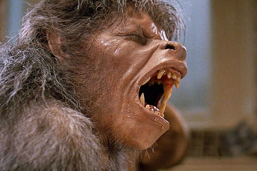 
	Horror Howlers: 10 Movies to Make You Die Laughing
