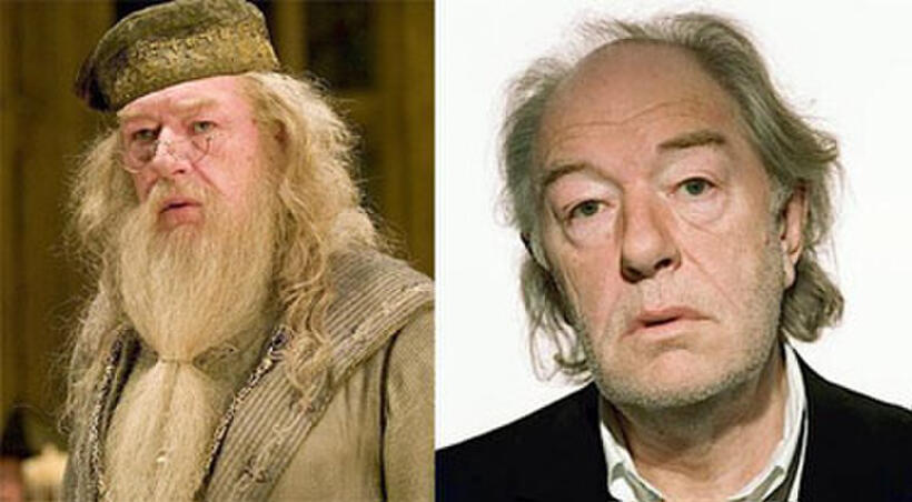 Prof. Albus Dumbledore/Michael Gambon