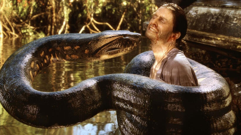 
	Anaconda
