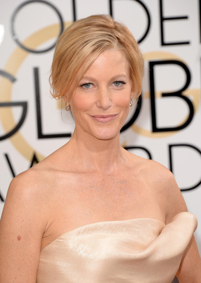 
	The 2014 Golden Globes Red Carpet
