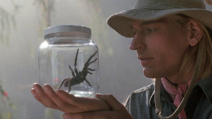 
	Arachnophobia
