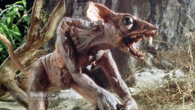 
	Horror Howlers: 10 Movies to Make You Die Laughing
