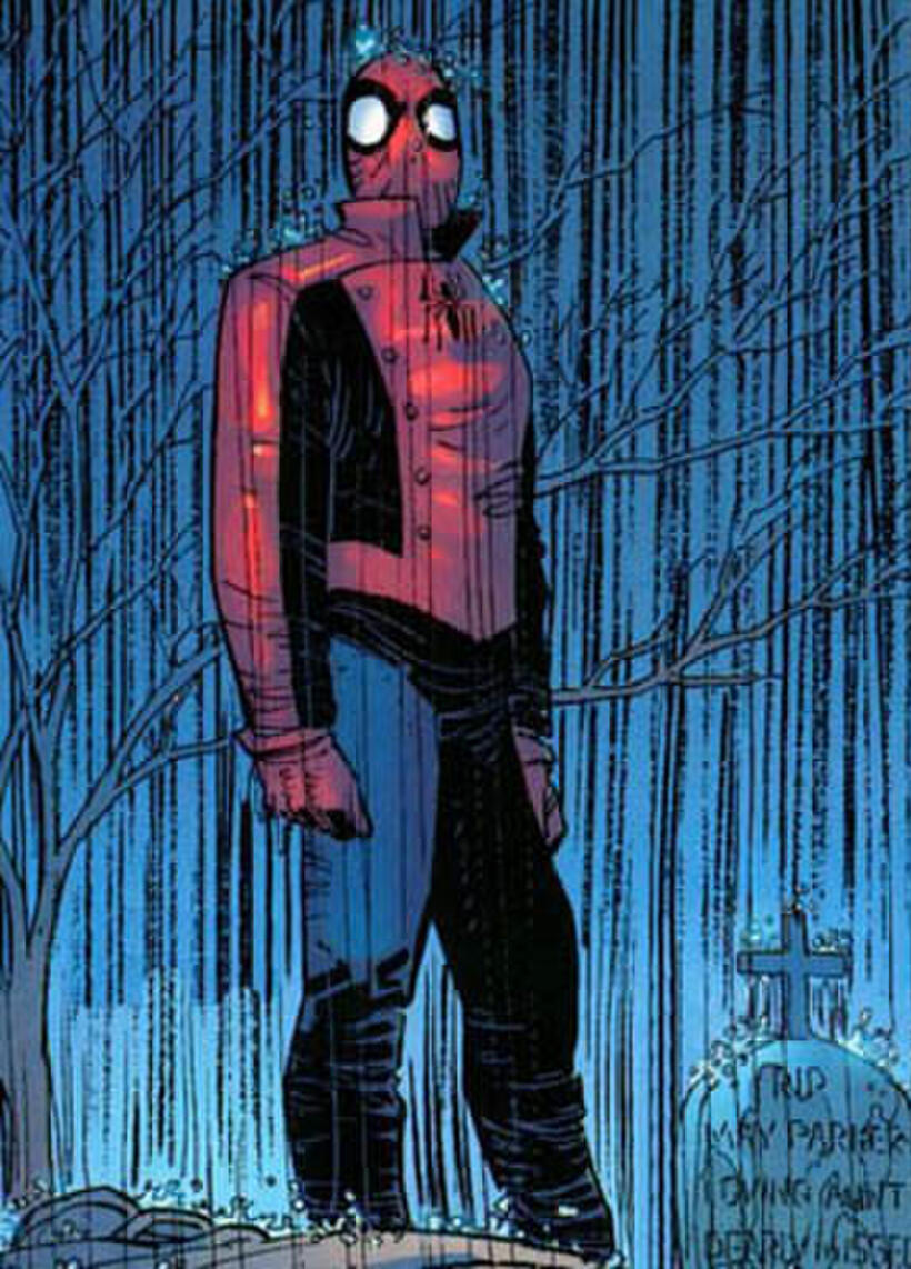 
	The Many Looks of Spider-Man
