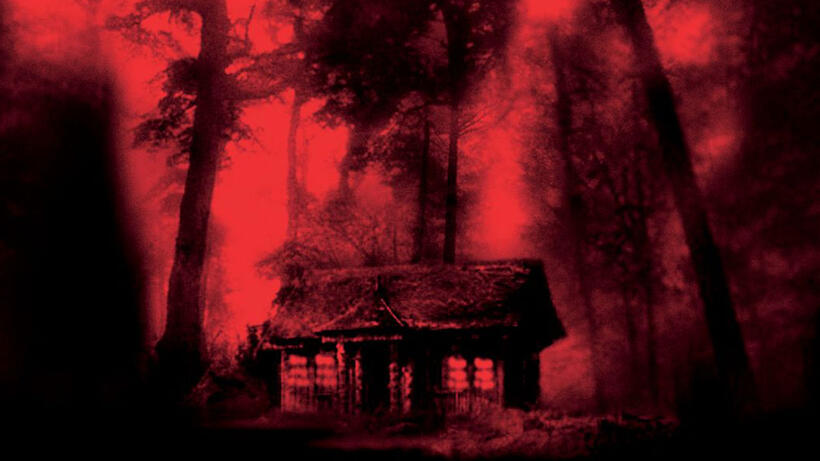 
	A cabin in the woods (The Cabin in the Woods, Evil Dead, Cabin Fever &hellip;)
