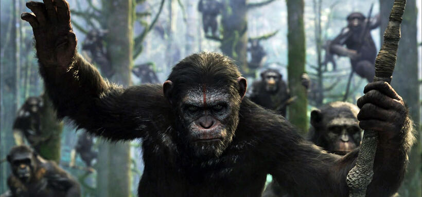 The Must-See 3D Movies of 2014