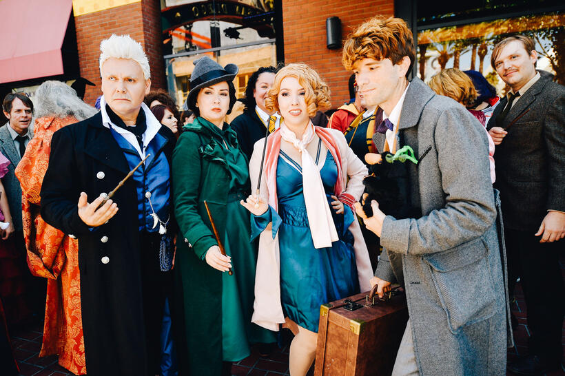 
	Fantastic Beasts characters
