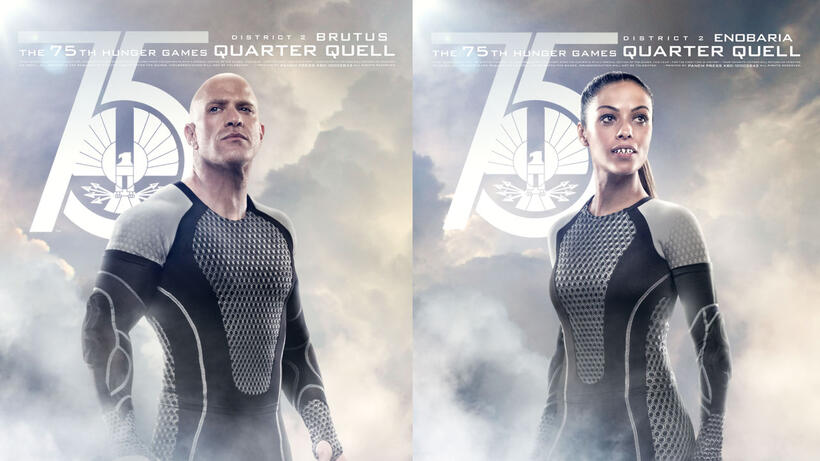 'Catching Fire': Your Guide to the Victors 