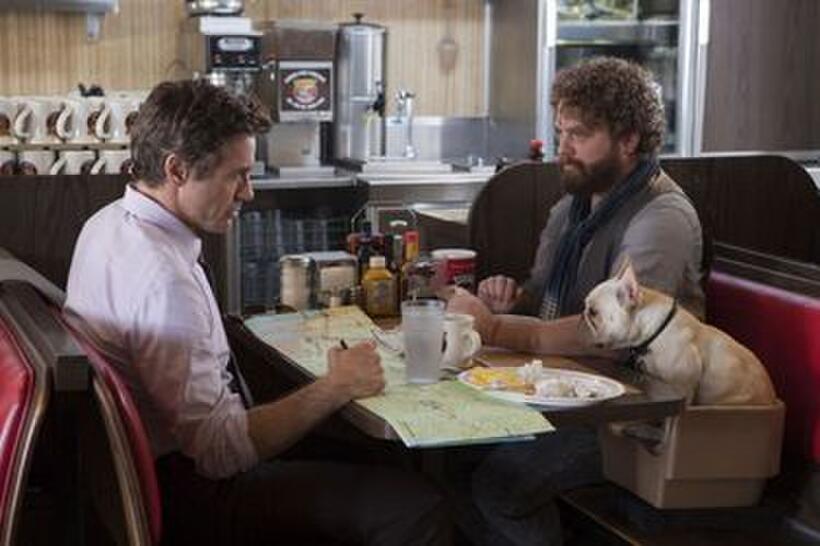 2010 Fall Movie Guide