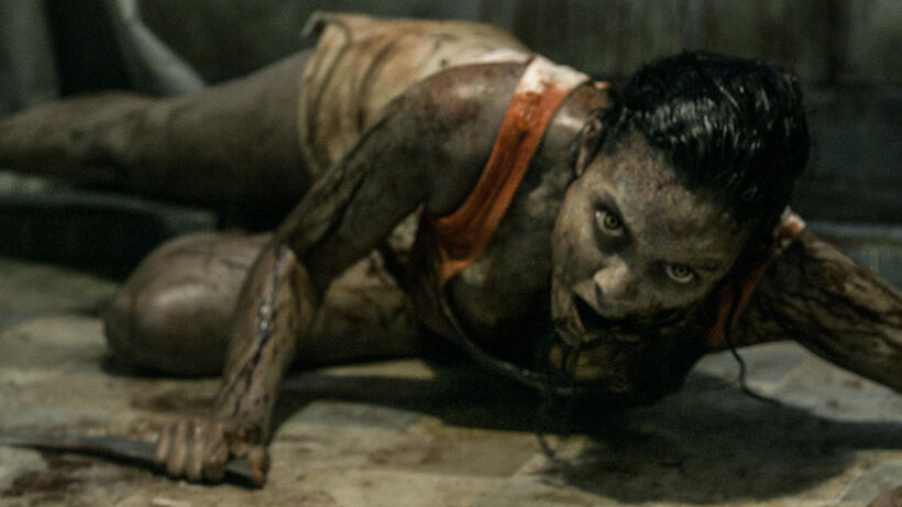 Top Horror of 2013