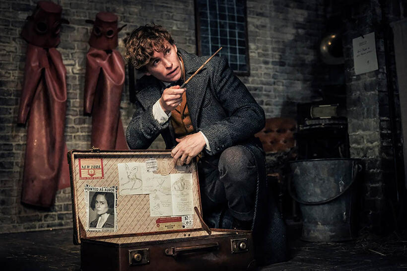 
	FANTASTIC BEASTS: THE CRIMES OF GRINDELWALD (NOVEMBER 16)
