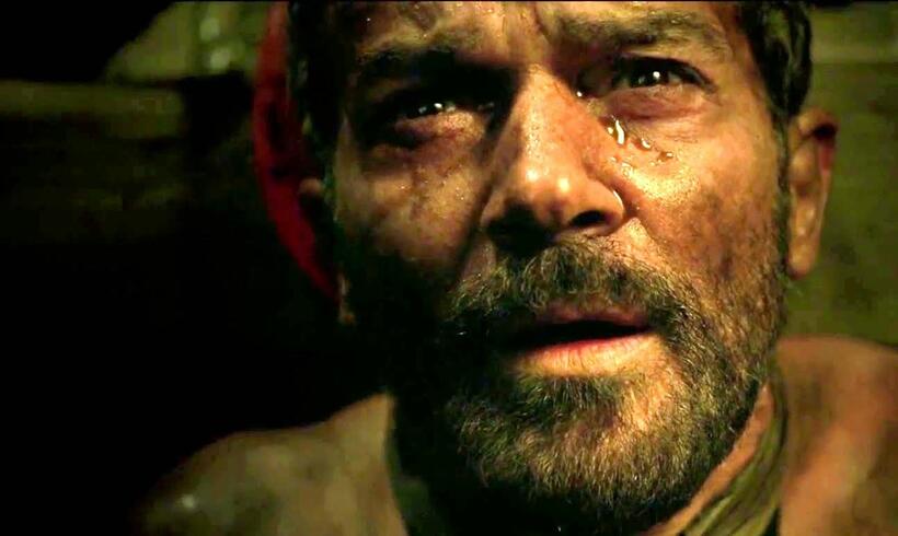
	The 33
