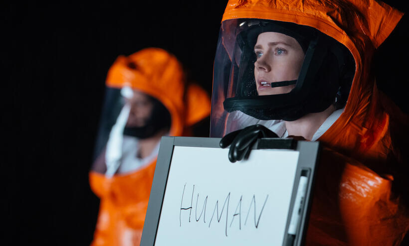 
	Arrival (Nov. 11)

