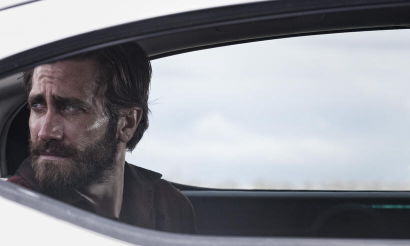 
	Nocturnal Animals (Nov. 18)
