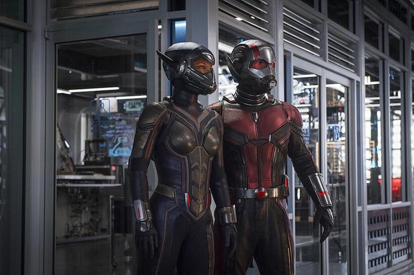 
	ANT-MAN AND THE WASP (JULY 6)
