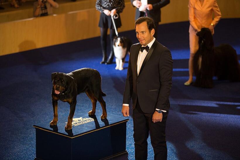 
	SHOW DOGS (MAY 18)
