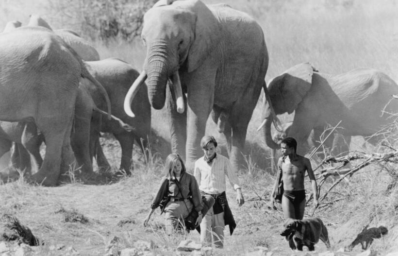 
	A Far Off Place (1993)
