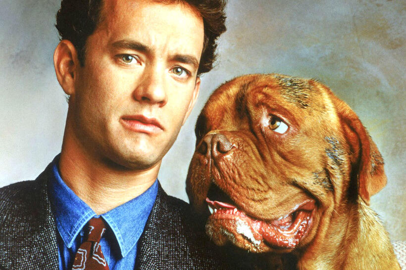 
	Turner and Hooch in &lsquo;Turner and Hooch&rsquo;
