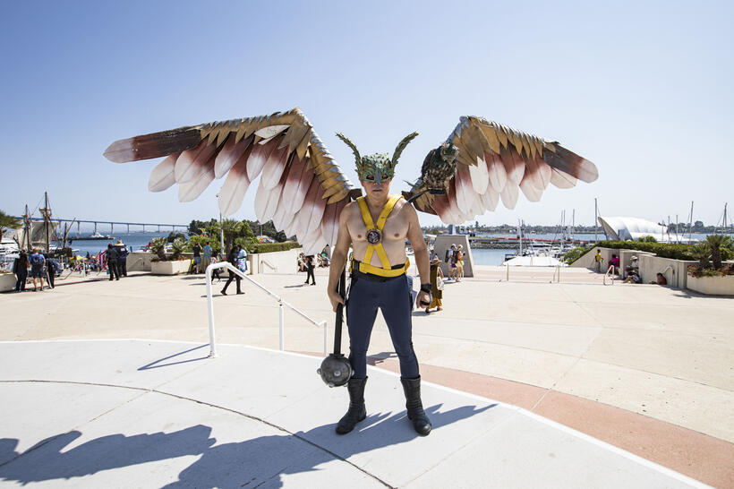 
	Andy Holt as Hawkman
