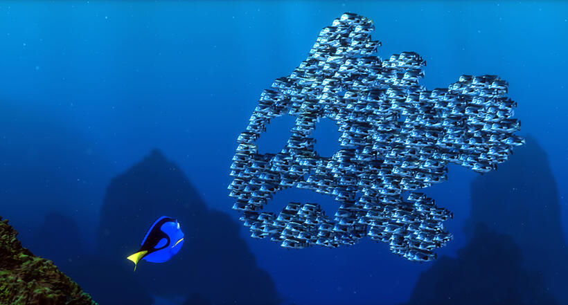 
	Fish School &ndash; &lsquo;Finding Nemo&rsquo;
