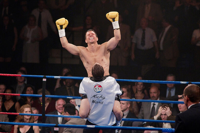 
	The Fighter

