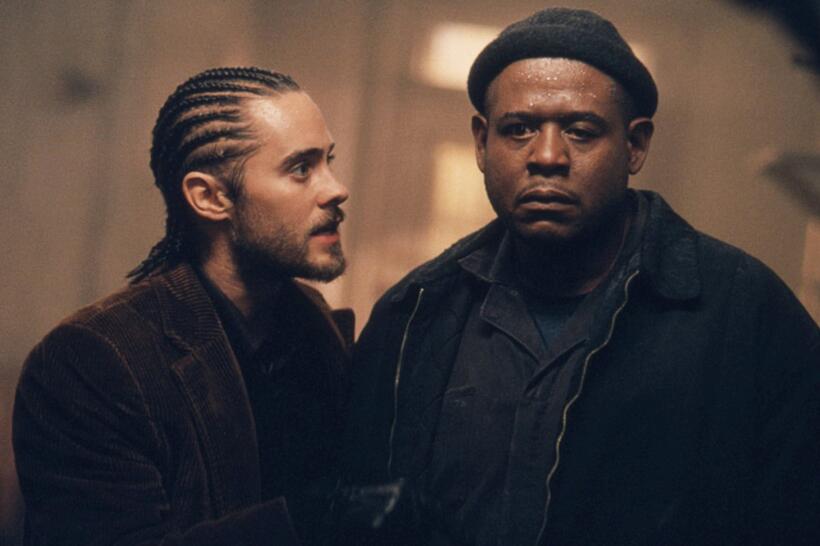 
	Forest Whitaker in Panic Room
