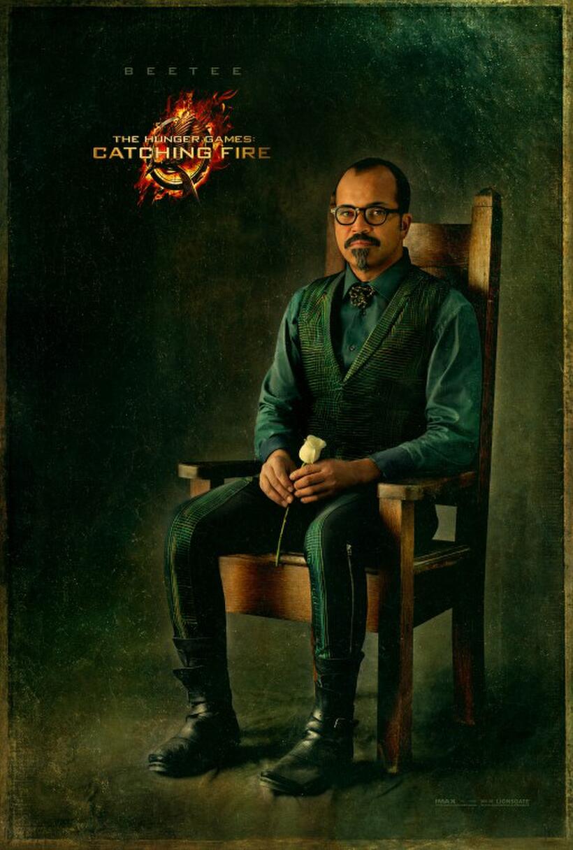 Catching Fire Poster Gallery