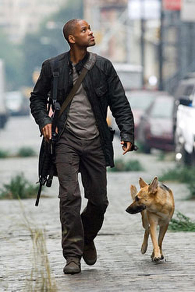 Armageddon Now! Our Favorite Post-Apocalyptic Movies