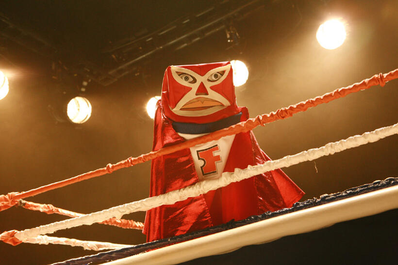 Fandango Bag Puppet Photo Gallery
