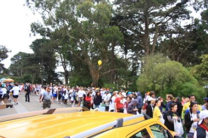Bay to Breakers