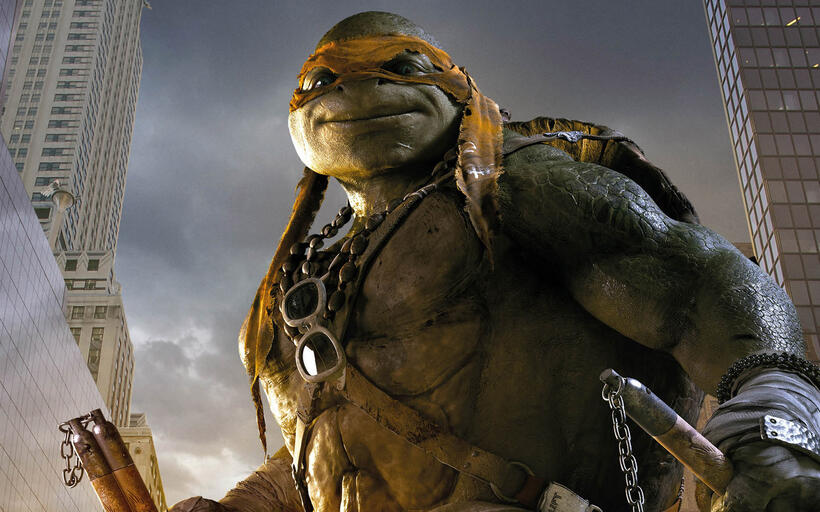 
	Teenage Mutant Ninja Turtles
