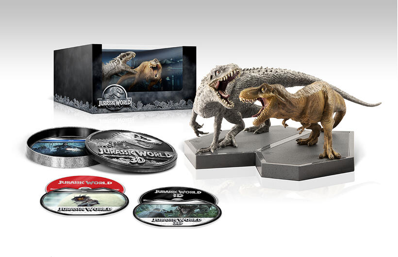 
	At Home for the Holidays: DVD/BD Gift Set Buyers' Guide
