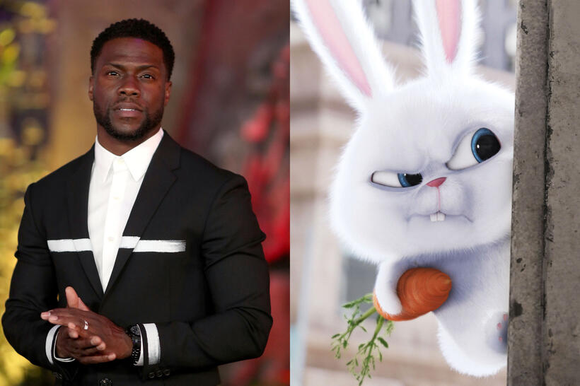 
	Kevin Hart as Snowball
