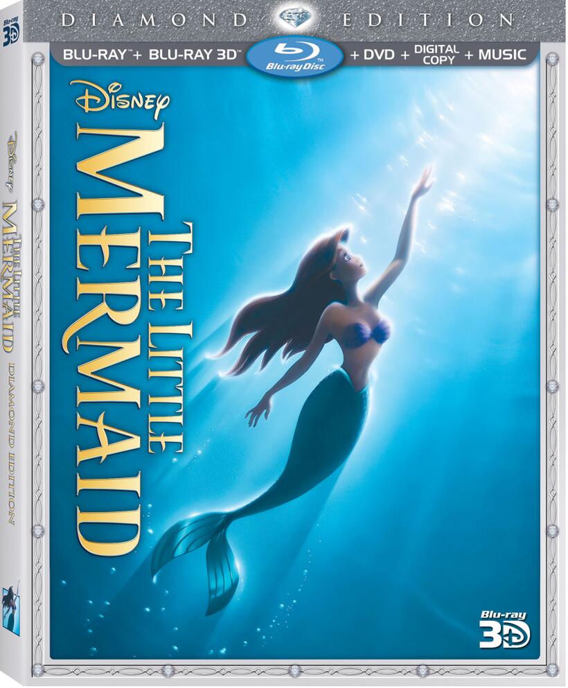 DVD Gift Guide 2013