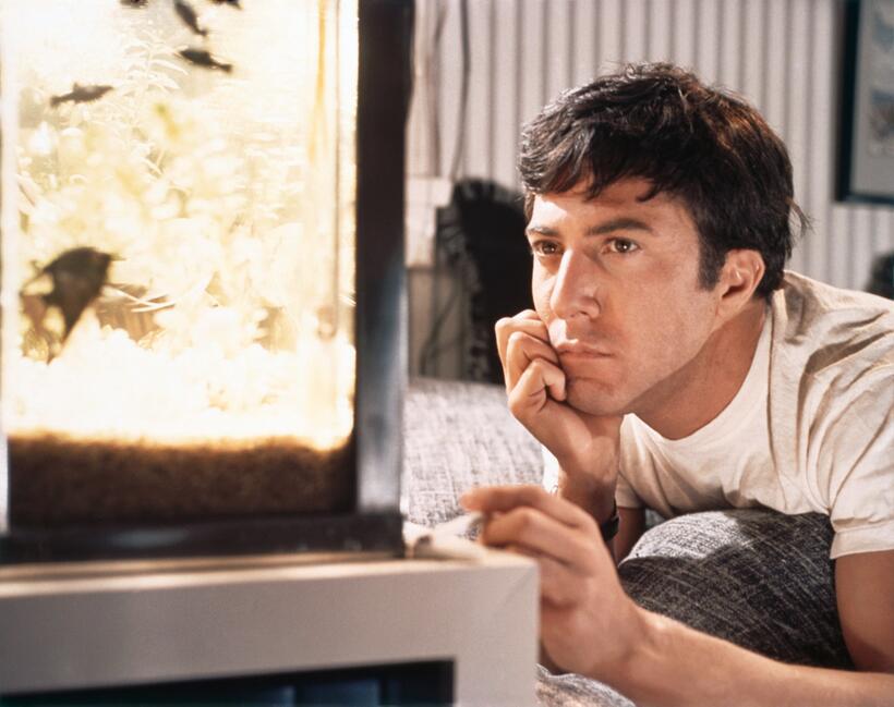 
	Dustin Hoffman in The Graduate
