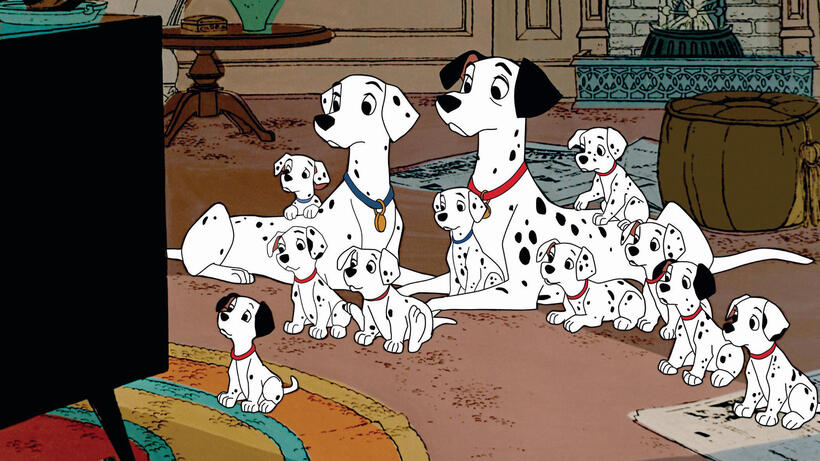 
	Best in Show: The Movies' Top Dogs
