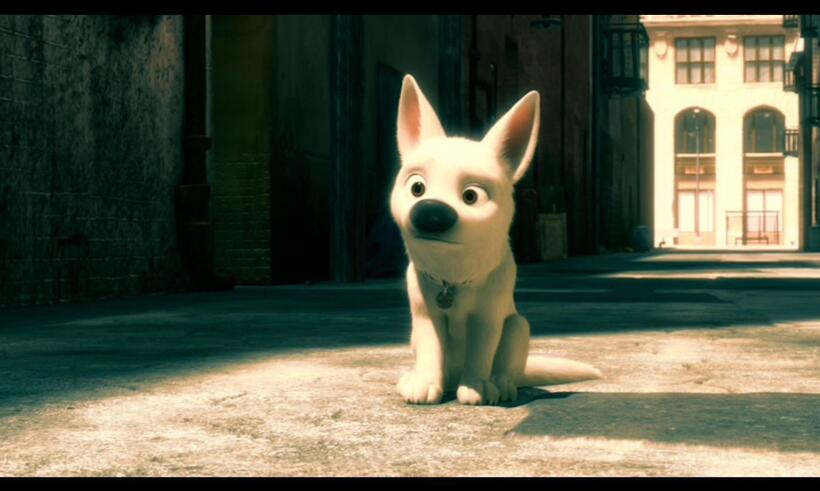 
	Best in Show: The Movies' Top Dogs
