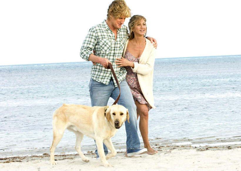 
	Best in Show: The Movies' Top Dogs
