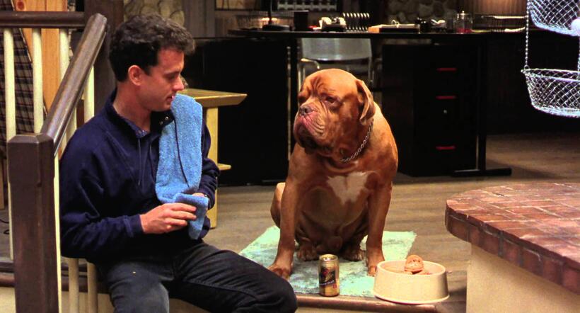 
	Best in Show: The Movies' Top Dogs
